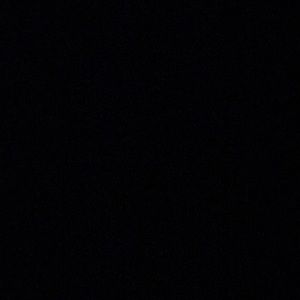 Meet your Posher, Bridget